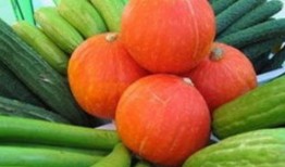 吃瓜菜菜子,揭秘娱乐圈的幕后故事