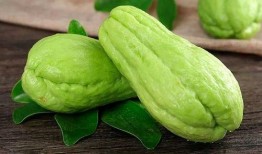 吃瓜菜菜子,揭秘娱乐圈的幕后故事