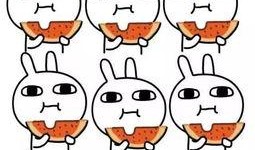 吃瓜群众的提问,吃瓜群众热议的明星幕后故事