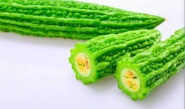 儿童吃小白瓜的好处,健康成长的天然伴侣