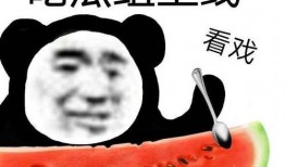 吃瓜网渣,揭秘网络舆论场的“渣”现象